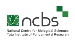 NCBS